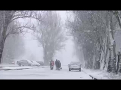 Pad di riscaldamento per spalle e collo con funzione a infrarossi e a ioni negativi